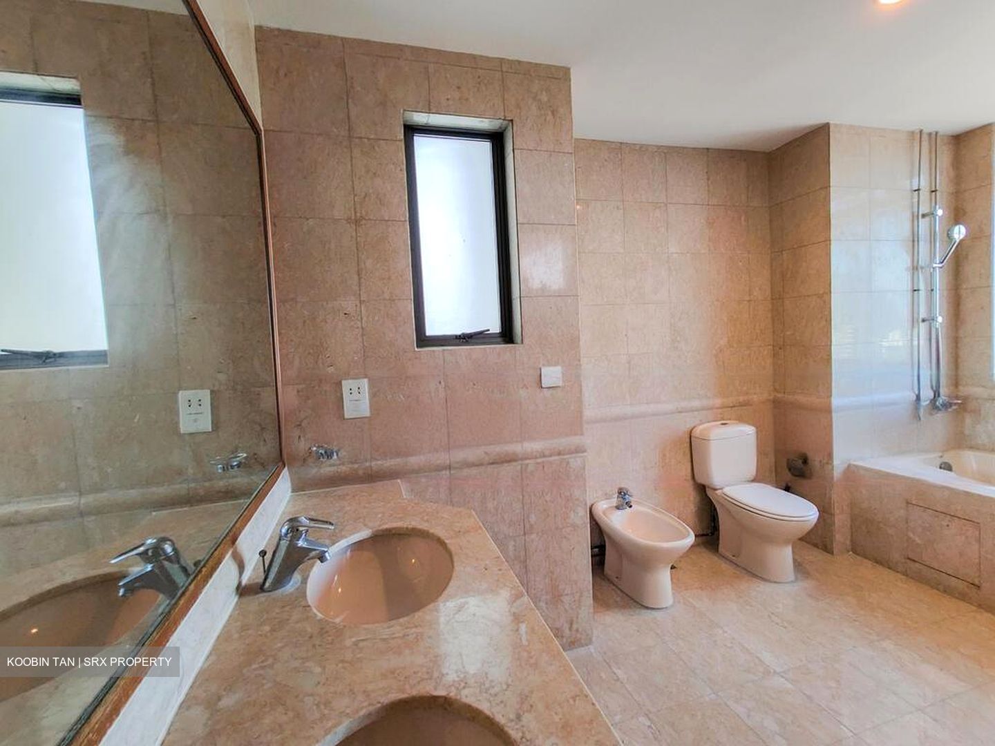 Twin Heights (D12), Apartment #473162481